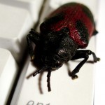 Computer security is evolving in a time of social media