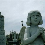 even the biggest businesses can die if they don't understand the world around them