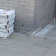 How does the regional press survive in the digital era? 